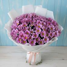 Букет цветов из:  Хризантемы в Шемышейке