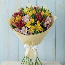 Букет цветов из:  Альстромерии в Шемышейке