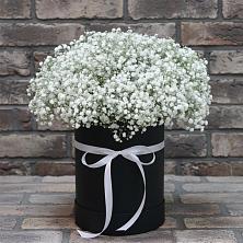 Цветочная композиция из Гипсофила в шляпной коробке в Шемышейке